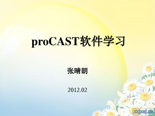 procast操作教程