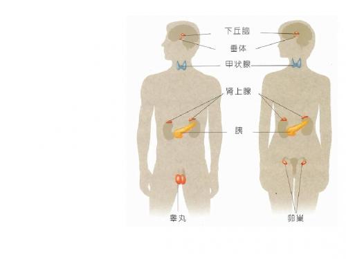 高中生物必修三.通过激素的调节 ()