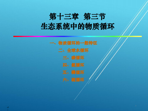 11、生态系统生态学(物质循环)——【普通生态学】