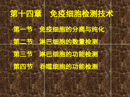 检验第十四章  免疫细胞检测技术