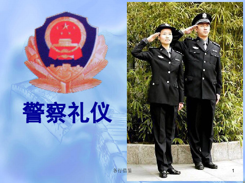 人民警察礼仪(实用解决)