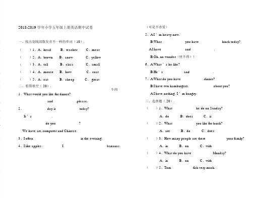 20182019学年五年级上册英语期中试卷