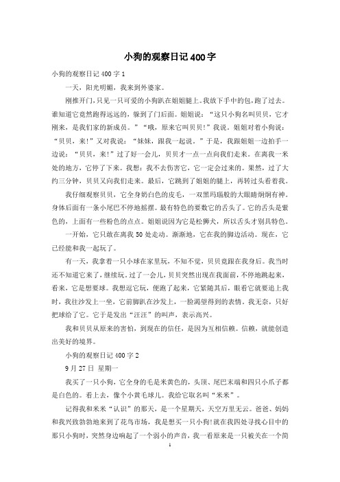 小狗的观察日记400字