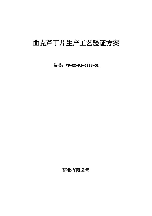 2010工艺验证方案调整