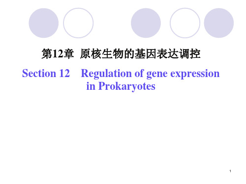 原核生物的基因表达调控(精)精品PPT课件