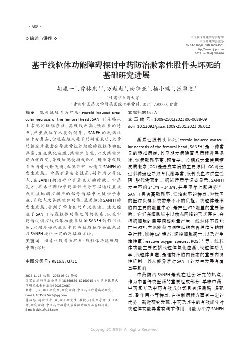 基于线粒体功能障碍探讨中药防治激素性股骨头坏死的基础研究进展