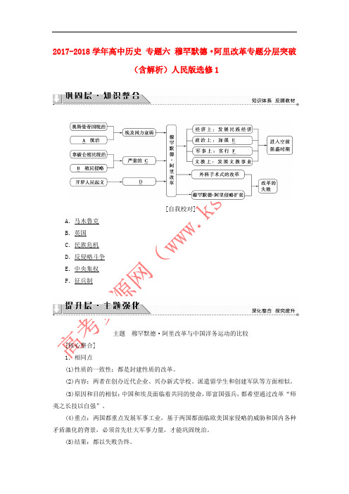 2017-2018学年高中历史 专题六 穆罕默德•阿里改革专题分层突破(含解析)人民版选