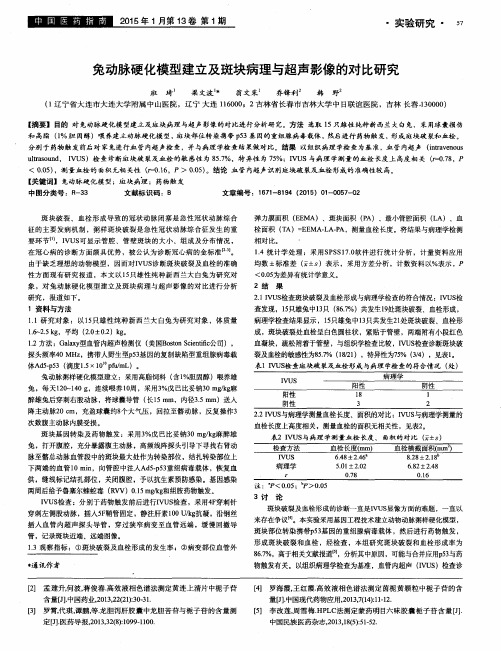 兔动脉硬化模型建立及斑块病理与超声影像的对比研究