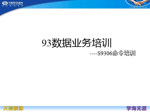 华为S9306数据业务开通快速学习指导