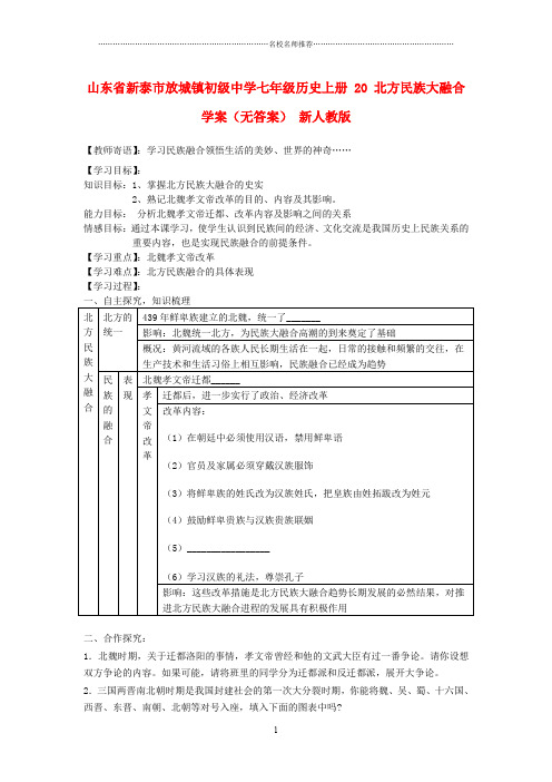 山东省新泰市放城镇初级中学七年级历史上册 20 北方民族大融合名师精编学案(无答案) 新人教版