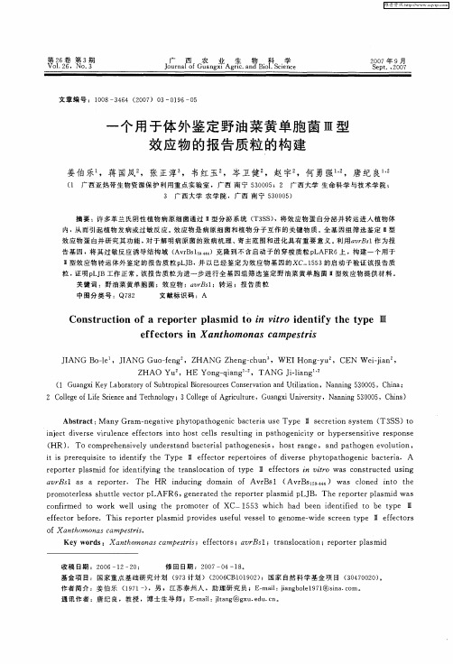 一个用于体外鉴定野油菜黄单胞菌Ⅲ型效应物的报告质粒的构建