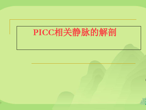 PICC相关静脉的解剖