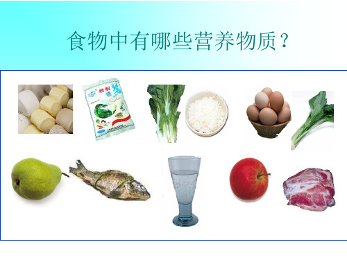 食物的消化和营养物质的吸收(3).ppt