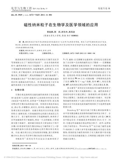 磁性纳米粒子在生物学及医学领域的应用