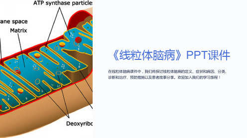 《线粒体脑病》课件