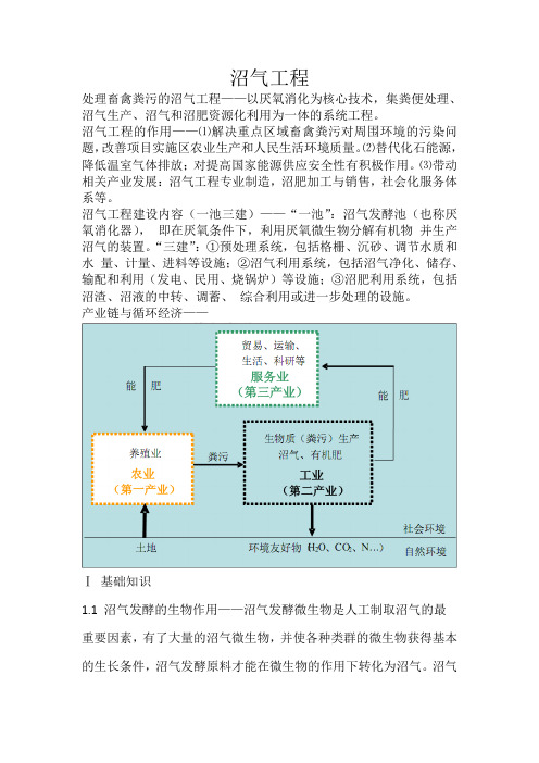 处理畜禽粪污的沼气工程