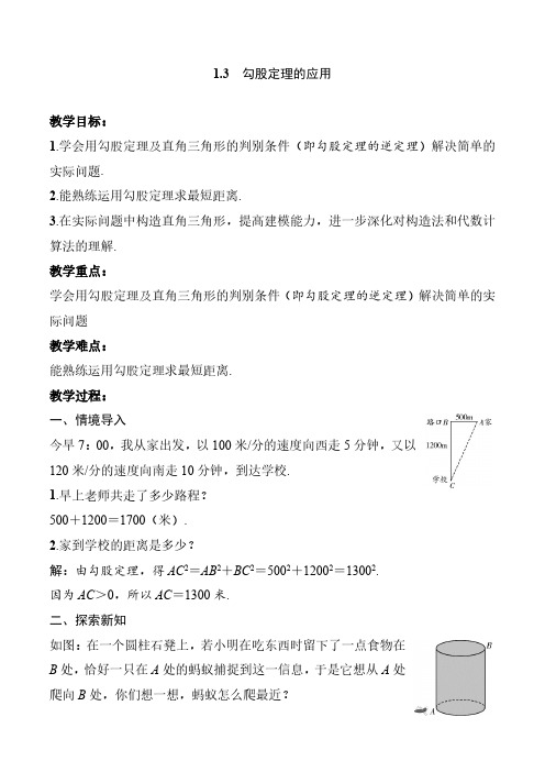 勾股定理的应用教案