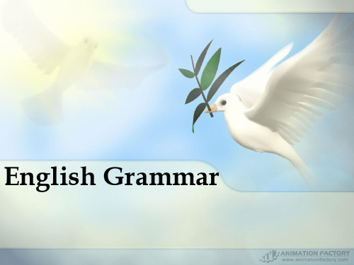 English Grammar (英语语法)