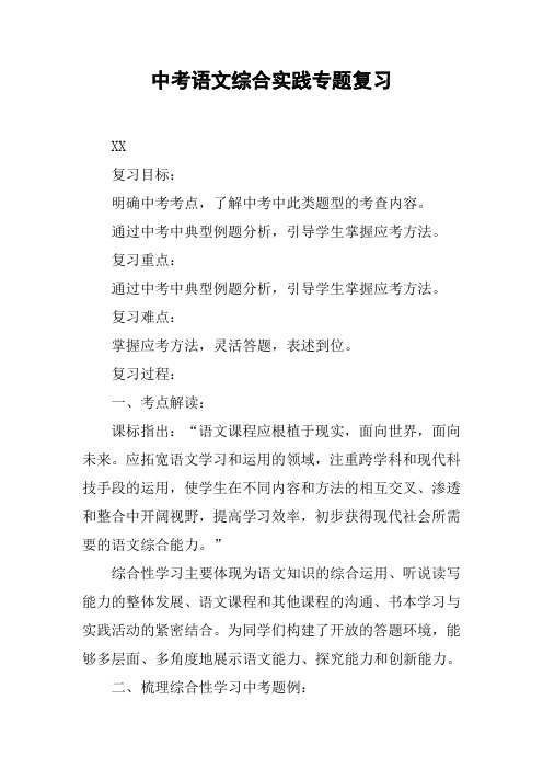 中考语文综合实践专题复习