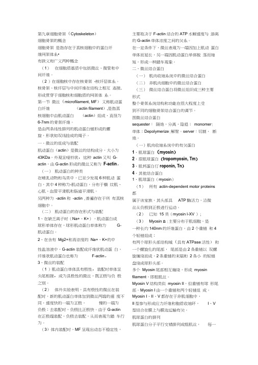 9第九章细胞骨架