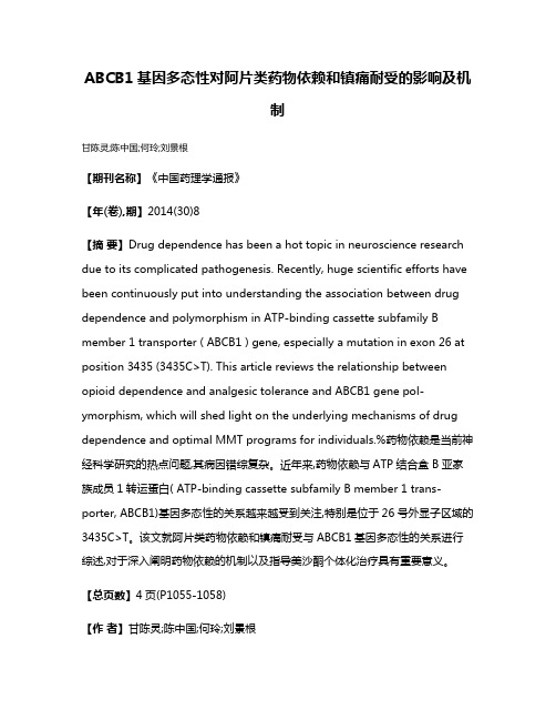 ABCB1基因多态性对阿片类药物依赖和镇痛耐受的影响及机制