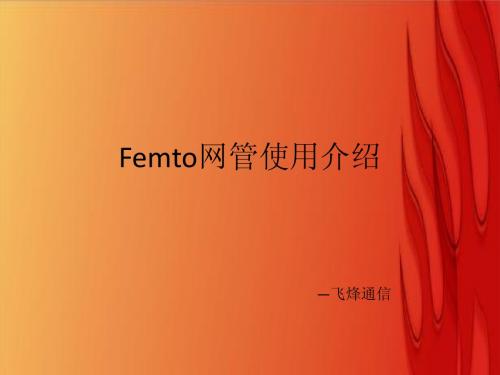 Femto网管使用介绍