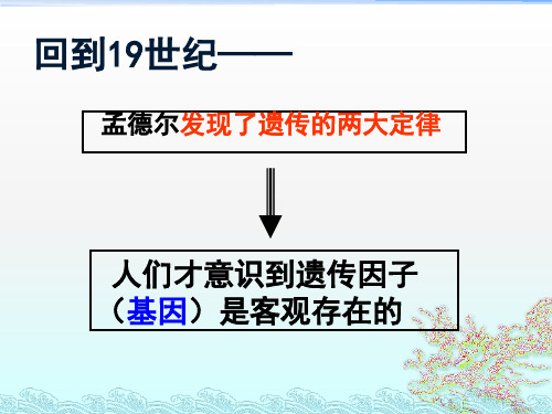 人教版高中生物必修二之2.2基因在染色体上