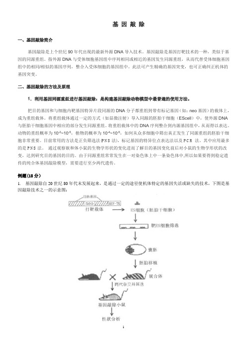 基因敲除