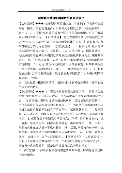 观察蝗虫精母细胞减数分裂固定装片