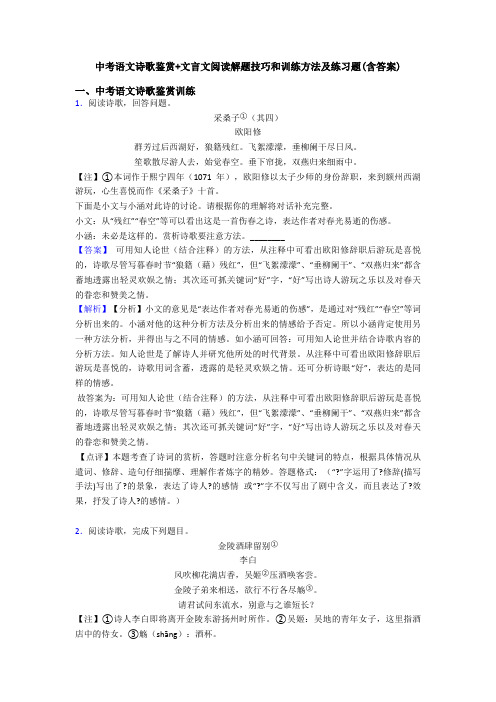 中考语文诗歌鉴赏+文言文阅读解题技巧和训练方法及练习题(含答案)