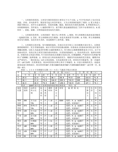 玉米倒伏的五个因素及预防