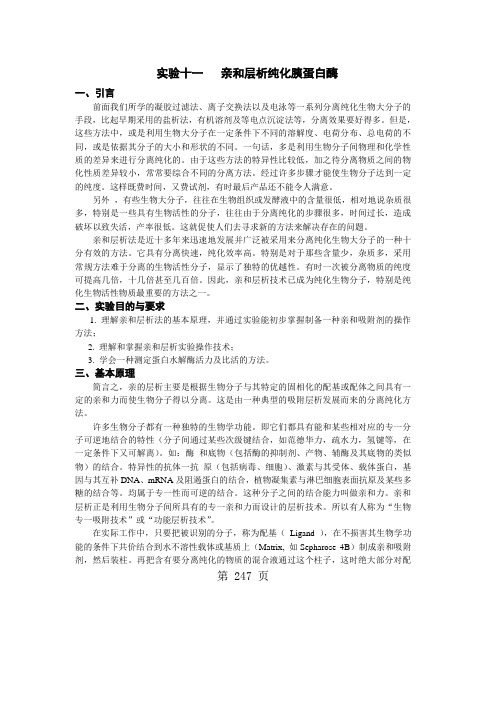 生化实验讲义：实验十一亲和层析最后word资料8页