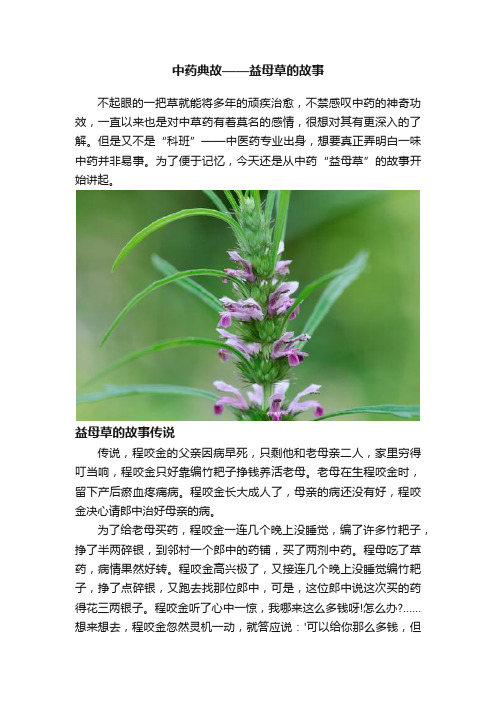 中药典故——益母草的故事