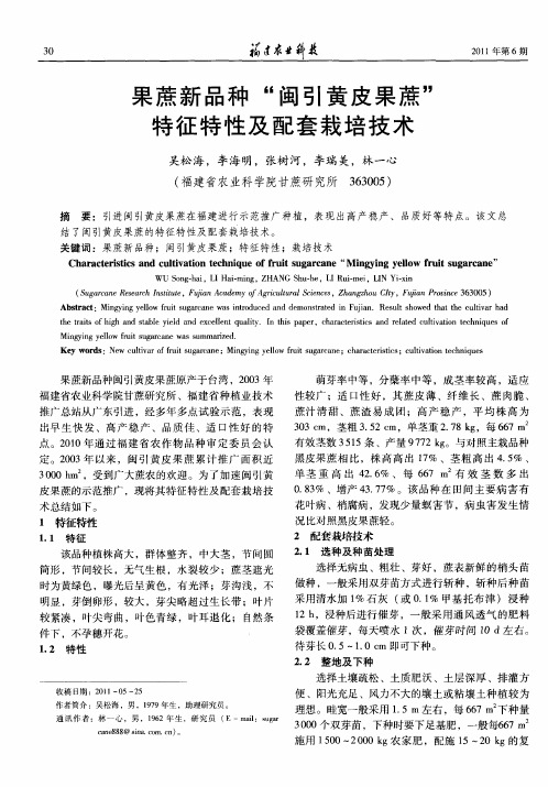 果蔗新品种“闽引黄皮果蔗”特征特性及配套栽培技术