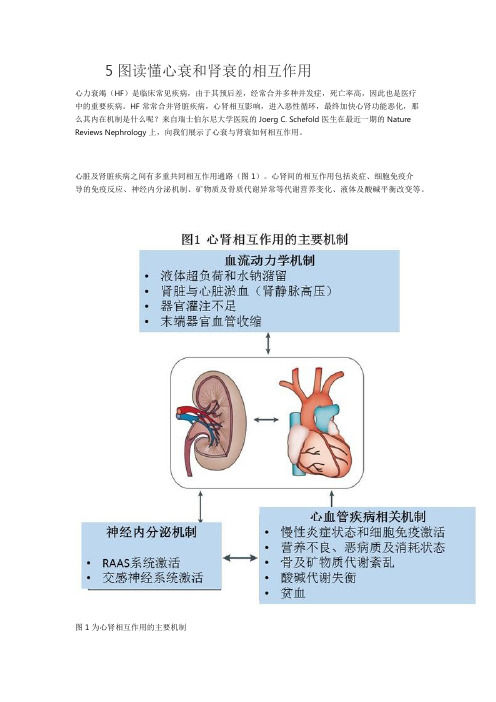 5 图读懂心衰和肾衰的相互作用 - 副本