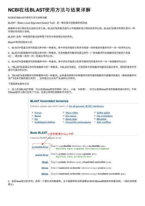 NCBI在线BLAST使用方法与结果详解