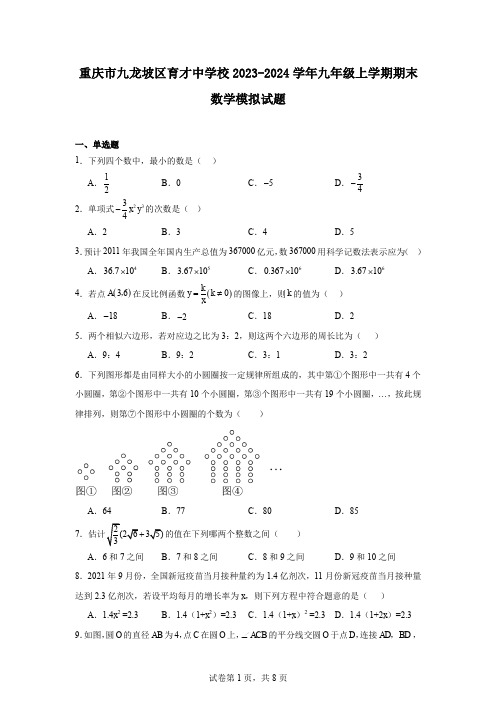 重庆市九龙坡区育才中学校2023-2024学年九年级上学期期末数学模拟试题