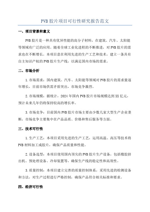 PVB胶片项目可行性研究报告范文