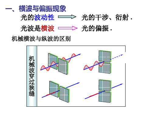 偏振原理及应用