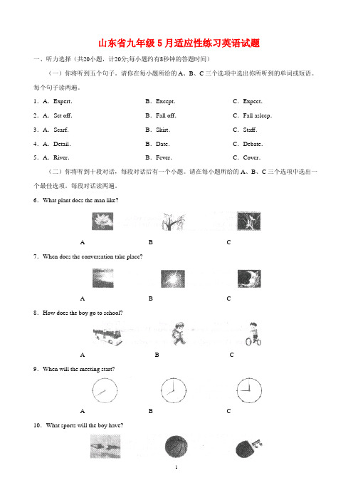 2020年山东省九年级5月适应性练习英语试题(附答案)
