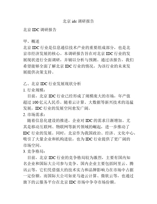 北京idc调研报告