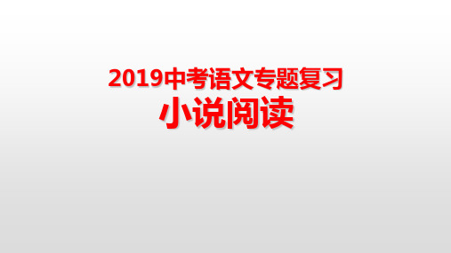 2019中考专题复习之小说阅读