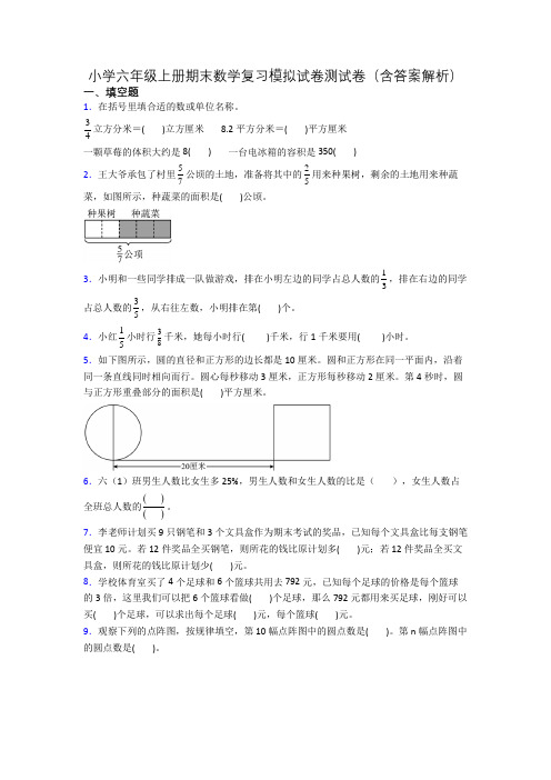 小学六年级上册期末数学复习模拟试卷测试卷(含答案解析)