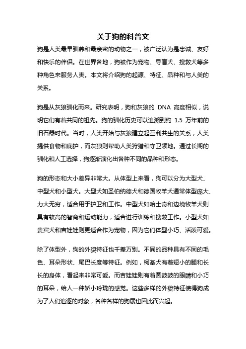 关于狗的科普文