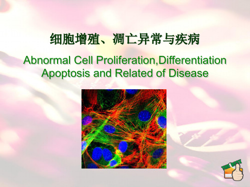 细胞增殖、凋亡异常与疾病