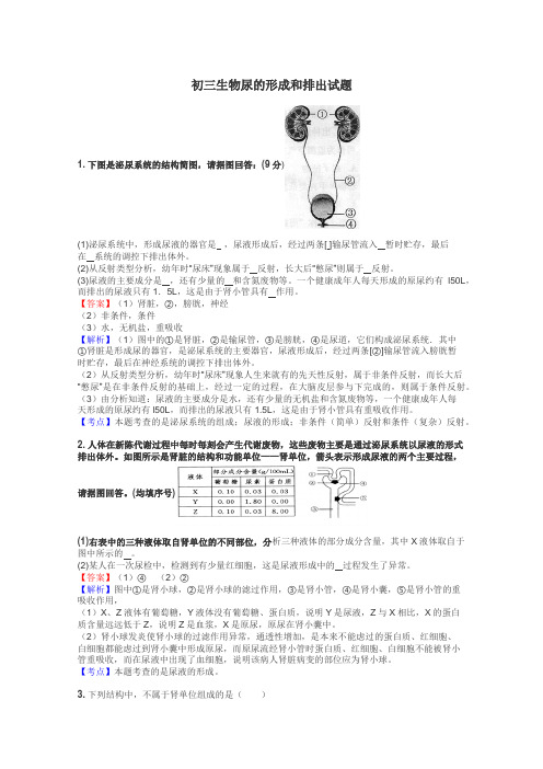 初三生物尿的形成和排出试题
