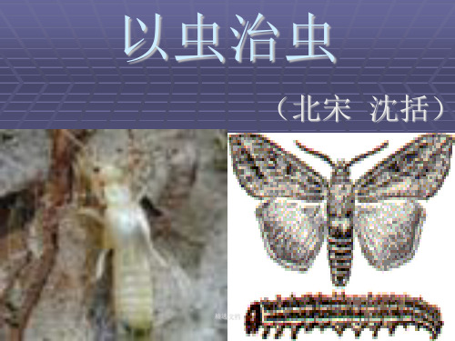 以虫治虫 精选.ppt