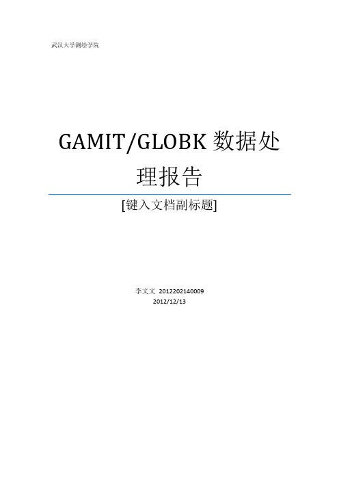 (完整版)GAMITGLOBK软件操作