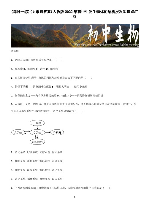 (文末附答案)人教版2022年初中生物生物体的结构层次知识点汇总