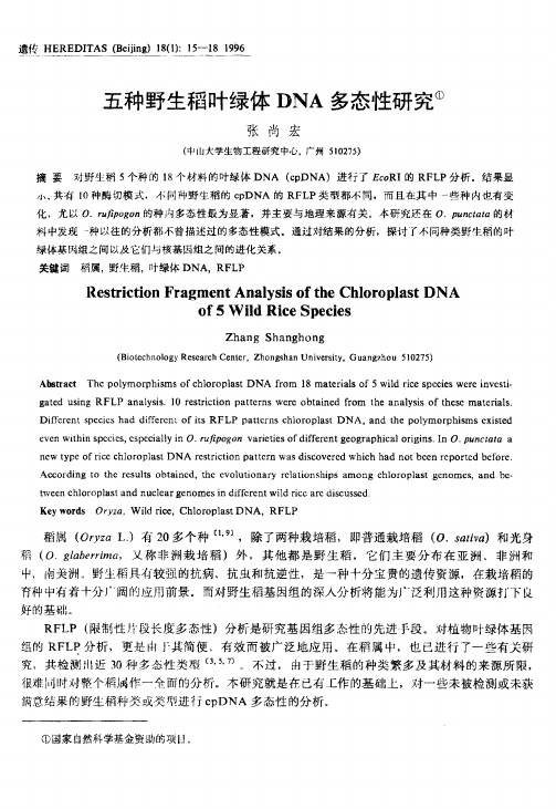 五种野生稻叶绿体DNA多态性研究 Restriction Fragment Analysis of the Chloroplast DNA of 5 Wil